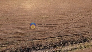 Teren investiție intravilan 3600 mp – Dumbrava Roșie - imagine 7