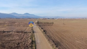 Teren investiție intravilan 3600 mp – Dumbrava Roșie - imagine 2
