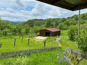 Casa com. Stroesti Valcea teren 3300mp - imagine 9