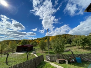 Casa com. Stroesti Valcea teren 3300mp - imagine 2