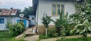 Vand casa + anexe si gradina