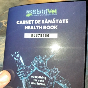 Vând cățelușă Pomeranian - imagine 5