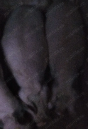 De vanzare  - imagine 3