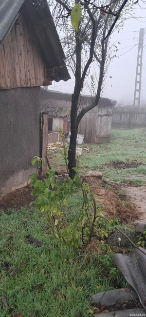 vand casa la tara - imagine 5