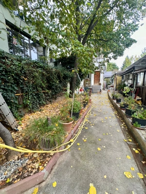 Eminescu - Stefan cel Mare 2 camere in vila renovat - imagine 11