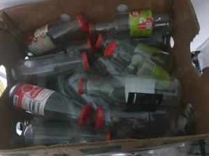 Sticle 750ml pt bulion