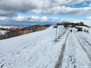 Vand teren intravilan in Ramet,Alba
