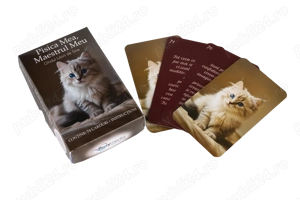 1 Set Carduri Oracol - Pisica mea, maestrul meu 