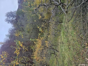 vand casa si teren  - imagine 10