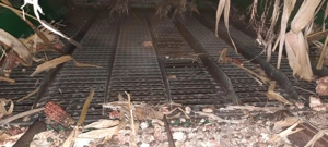 Combina john deree - imagine 3