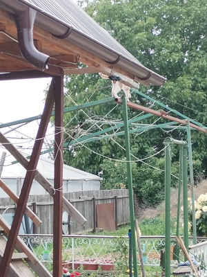 Vand teren cu casa in Varsatura - imagine 2