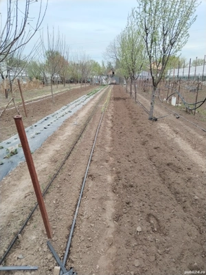 Vand teren cu casa in Varsatura - imagine 4