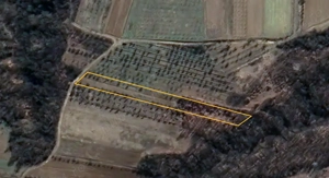 Vad teren agricol Com Danicei sat Ciresu jud Valcea 3010mp la 4lei  mp - imagine 2