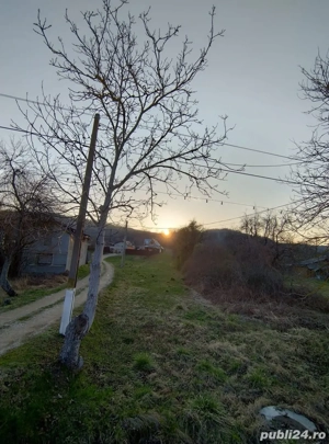 Teren intravilan de vanzare 