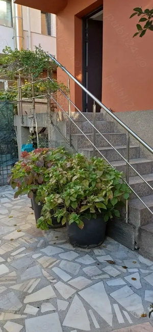 Vila 5 camere, sector 1 - imagine 15