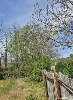 teren intravilan de vanzare  - imagine 5