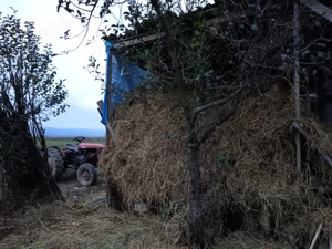 Vând lucernă uscată.  - imagine 2