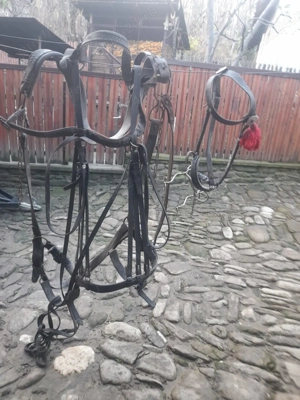 Vand căruța și ham