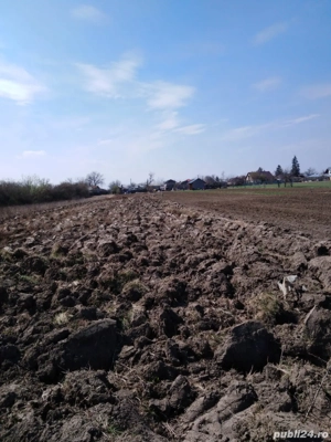 Vand 2300 m2 teren intravilan - imagine 2