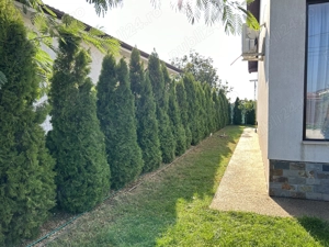 Casă de vânzare în Cumpăna, Constanța  - imagine 4