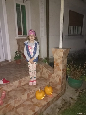 porci pentru sacrificare  - imagine 4