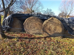 Baloti rotunzi de fan