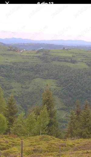 Vând teren ideal pentru cabană - Măguri-Răcătău (2000mp) 