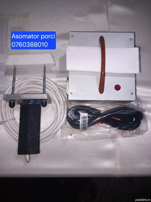 Asomator electric porci - imagine 2