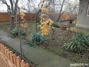 Casa batraneasca Ceamurila de jos - imagine 4