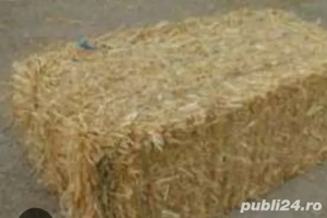 Paie de grau orz si orzoaica