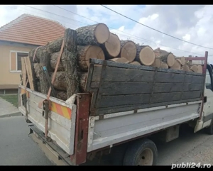 vând lemne de foc esență tare cer,fag,carpen,stejar cantitate garantata  transport gratuit  lemnele 