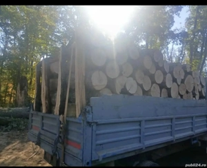 vând lemne de foc esență tare cer,fag,carpen,stejar cantitate garantata  transport gratuit  lemnele 