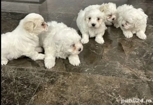 Cadoul ideal pentru copii de Moș Nicolaie