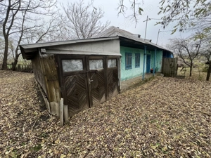 Vând teren intravilan 1270 mp în loc Sarata - Mihalaseni  - imagine 5