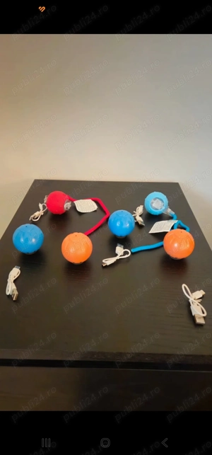 Accesorii animale - imagine 3