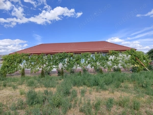 Vand casa la tara - imagine 2