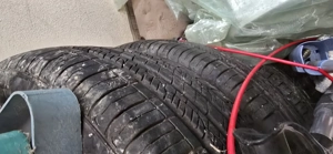 Urgent ca m-am saturat de ele pe terasa!