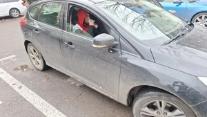 Ford focus mk3 2013, - imagine 2