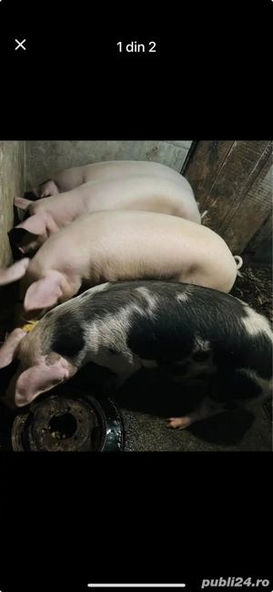 mai multe detalii la nr de telefon   