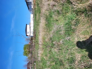 Teren Pantelimon Lac 500mp