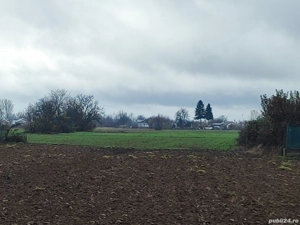 Teren 10000 mp, oportunitate invetitie parc fotovoltaic, infiintare cultura zmeur, afin, mur