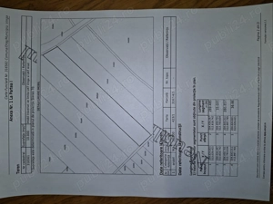Vând 1 ha teren arabil, situat la limita de hotar Arad Vinga - imagine 3