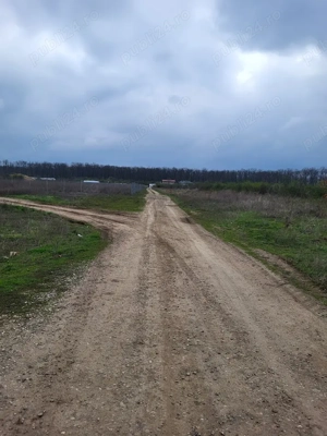 Teren Cernica 758 m2 - imagine 2