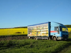 Vand camion apicol, 72 lazi orizontale, 19 rame