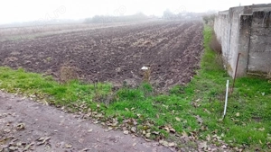 Teren intravilan de vanzarr - imagine 4