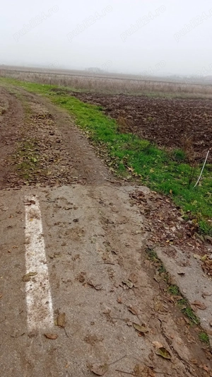 Teren intravilan de vanzarr - imagine 5