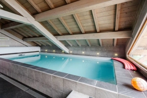 Cabana cu 6 dormitoare, terasă privată și piscina interioara. Disponibil Craciun,Revelion!