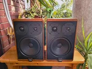 Boxe Canton Karat 300