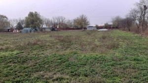 Vand 5000 m2 intravilan , Romanu cu multe facilitati.