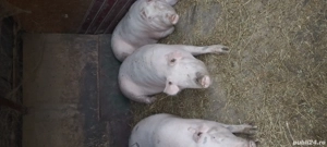 De vînzare. - imagine 2